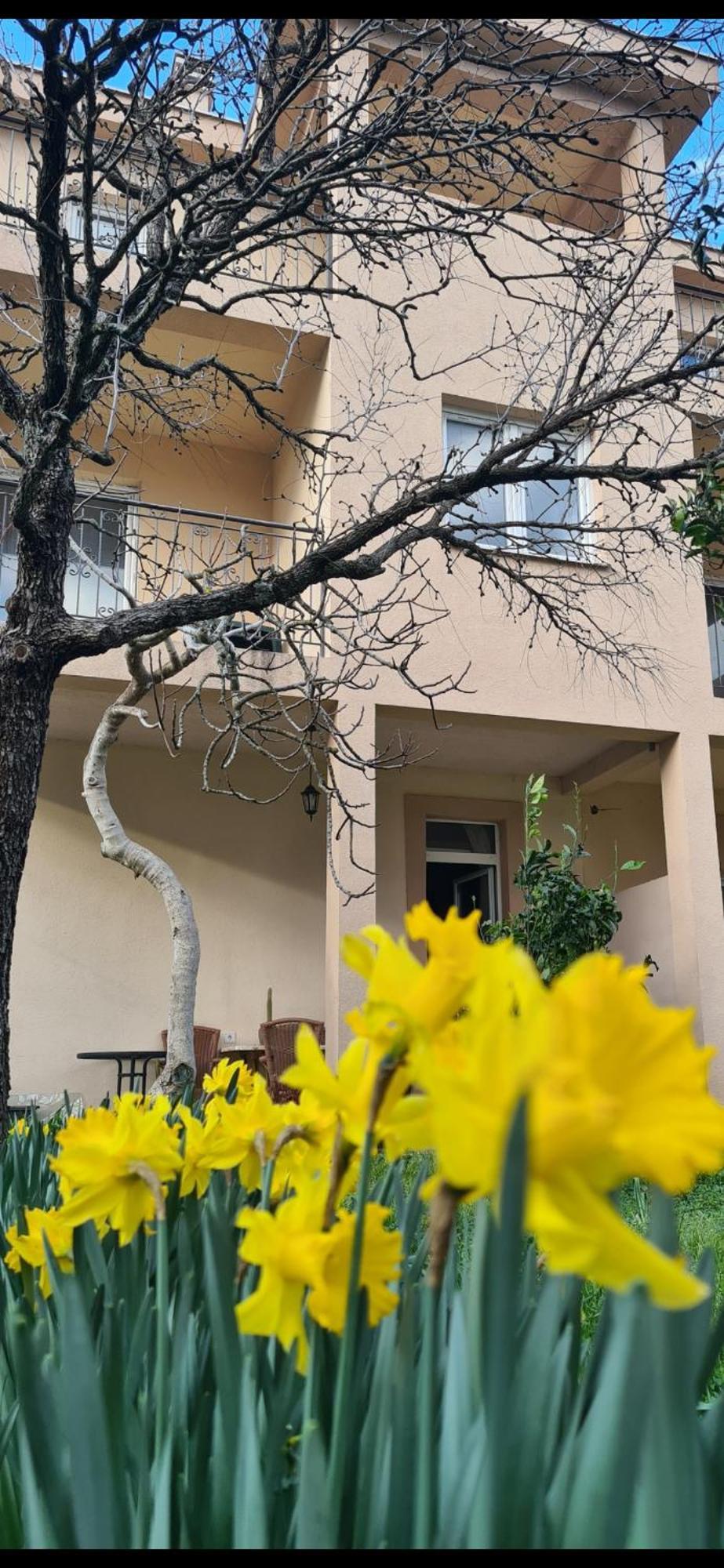 דירות טיווט Casa M מראה חיצוני תמונה